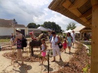 /album/fotogalerie-pohadkova-kovarna-selibov/pohadkove-bludiste2-jpg1/